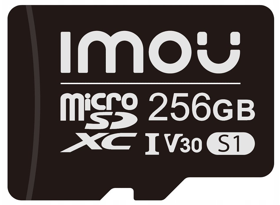 TARJETA MICRO SD 256GB